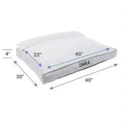 Chewy Store -Chewy Store 311772 PT1. AC SS1800 V1630682189