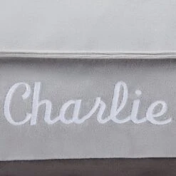 Frisco Personalized Silver Bolstered Bed With Silver Check Bolster, X-Large -Chewy Store 311772 PT3. AC SS1800 V1630594010