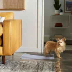 Frisco Washable Dog Potty Pads 10 Frisco Washable Dog Potty Pads -Chewy Store 315712 PT3. AC SS1800 V1644880410