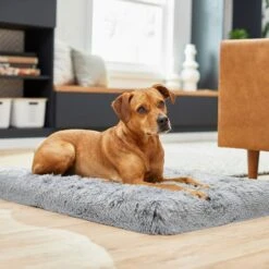 Frisco Eyelash Orthopedic Dog Crate Mat & Frisco Fold & Carry Single Door Collapsible Wire Dog Crate 15 Frisco Eyelash Orthopedic Dog Crate Mat & Frisco Fold & Carry Single Door Collapsible Wire Dog Crate -Chewy Store 319010 PT4. AC SS1800 V1631628403