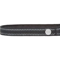 Frisco Outdoor Premium Ripstop Nylon Dog Harness With Pocket & Frisco Outdoor Nylon Reflective Comfort Padded Dog Collar 17 Frisco Outdoor Premium Ripstop Nylon Dog Harness With Pocket & Frisco Outdoor Nylon Reflective Comfort Padded Dog Collar -Chewy Store 319304 PT6. AC SS1800 V1631158591