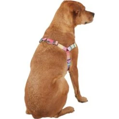 Frisco Pink Ombre Style Dog Harness 10 Frisco Pink Ombre Style Dog Harness -Chewy Store 324537 PT3. AC SS1800 V1642519146