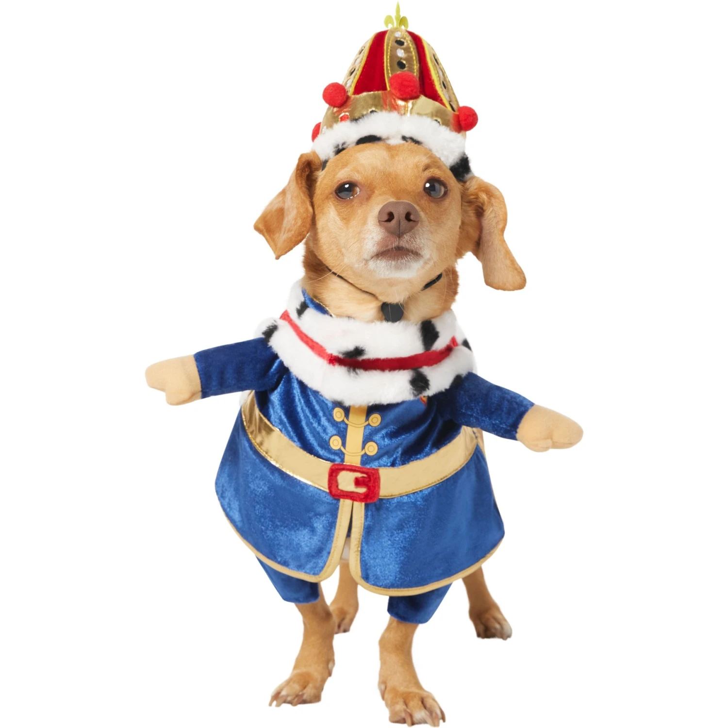 Frisco Front Walking Royal King Dog & Cat Costume 3 Frisco Front Walking Royal King Dog & Cat Costume