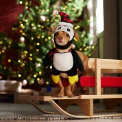 Frisco Front Walking Holiday Penguin Dog & Cat Costume 18 Frisco Front Walking Holiday Penguin Dog & Cat Costume -Chewy Store 358020 PT7. AC SS1800 V1661798757