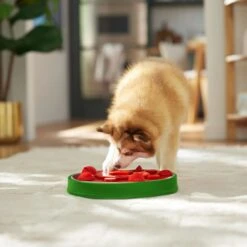 Frisco Watermelon Interactive Puzzle Dog Toy, Advanced 14 Frisco Watermelon Interactive Puzzle Dog Toy, Advanced -Chewy Store 506322 PT5. AC SS1800 V1674667034