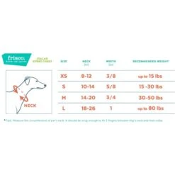 Frisco Solid Nylon Dog Leash + 4 Items -Chewy Store 623766 PT6. AC SS1800 V1662739135