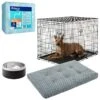 Frisco Insulated Two-Toned Non-Skid Stainless Steel Dog & Cat Bowl + 3 Items -Chewy Store 630886 MAIN. AC SS1800 V1681228787