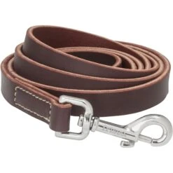 Frisco Top Grain Leather Leash + 4 Items 14 Frisco Top Grain Leather Leash + 4 Items -Chewy Store 630958 PT3. AC SS1800 V1662739527