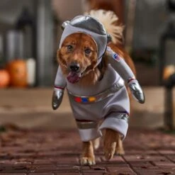 Frisco Front Walking LED Astronaut Dog & Cat Costume 16 Frisco Front Walking LED Astronaut Dog & Cat Costume -Chewy Store 707630 PT7. AC SS1800 V1689278700