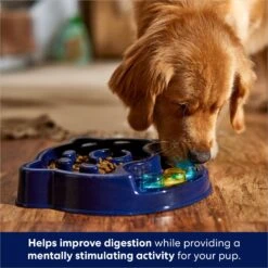 Frisco Interactive Dog Slow Feeder Bowl 10 Frisco Interactive Dog Slow Feeder Bowl -Chewy Store 761238 PT2. AC SS1800 V1696254583