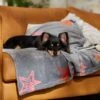 Frisco Plush Cat & Dog Throw Blanket 2 Frisco Plush Cat & Dog Throw Blanket -Chewy Store 816702 MAIN. AC SS1800 V1701117014