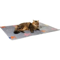 Frisco Plush Cat & Dog Throw Blanket -Chewy Store 816702 PT2. AC SS1800 V1701117014