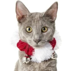 Frisco Jingle Bells Dog & Cat Holiday Collar With Bells, 1 Count & Frisco Holiday Antler Headband & Bell Collar Dog & Cat Costume 13 Frisco Jingle Bells Dog & Cat Holiday Collar With Bells, 1 Count & Frisco Holiday Antler Headband & Bell Collar Dog & Cat Costume -Chewy Store 986294 PT2. AC SS1800 V1698257738